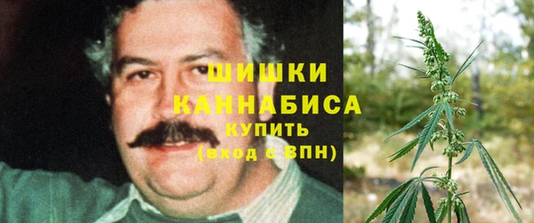 PSILOCYBIN Краснослободск