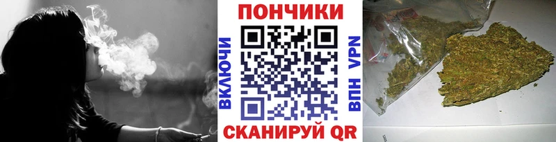 Купить  Кулебаки  Канабис сатива 